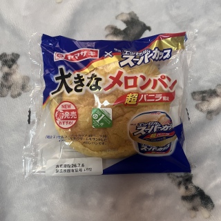 �������p��